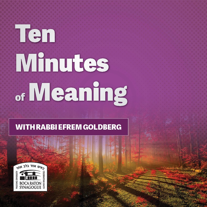 Ten Minutes of Meaning (Part 152): Kavod Ha'Torah